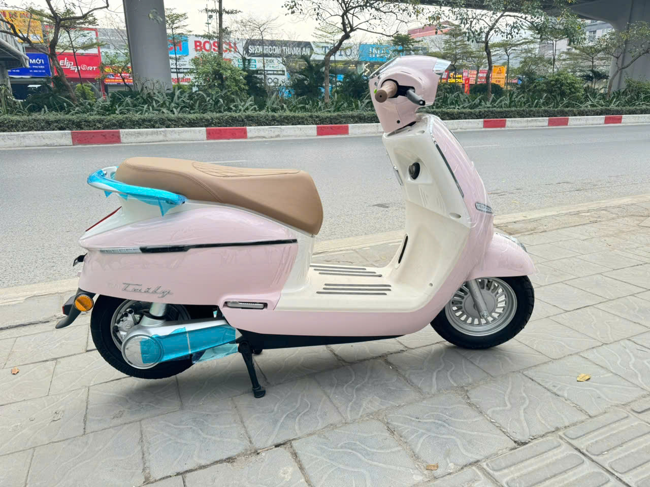 Xe M&aacute;y Điện Tailg Queen R71