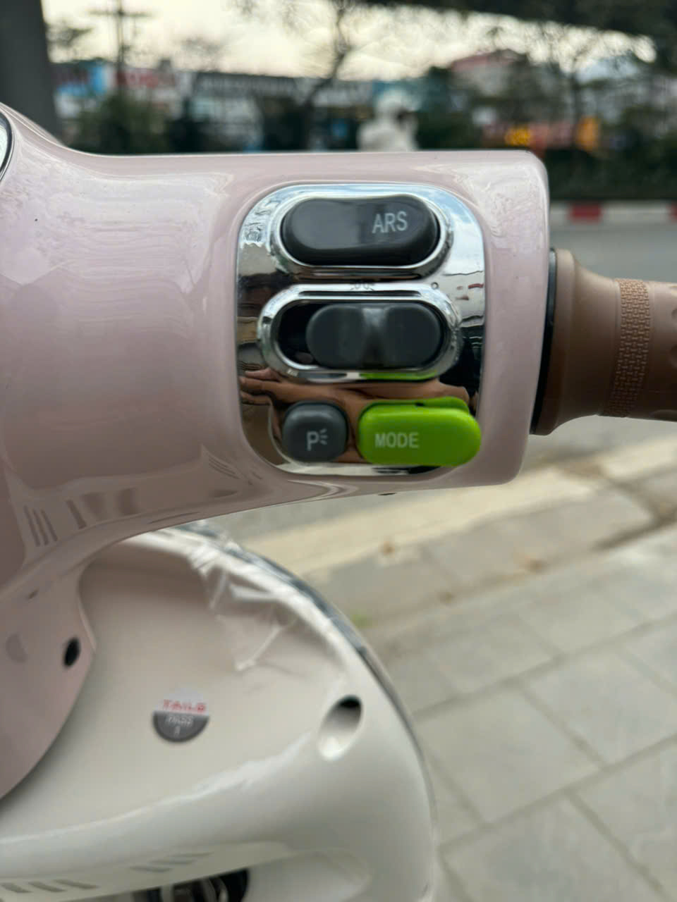 Xe M&aacute;y Điện Tailg Queen R71