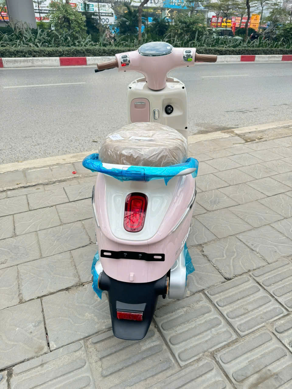 Xe M&aacute;y Điện Tailg Queen R71