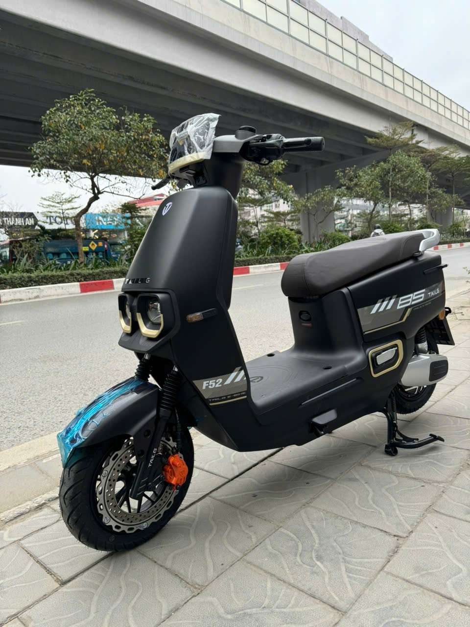 Xe M&aacute;y Điện Tailg Power F52