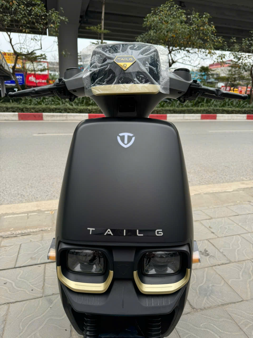 Xe M&aacute;y Điện Tailg Power F52