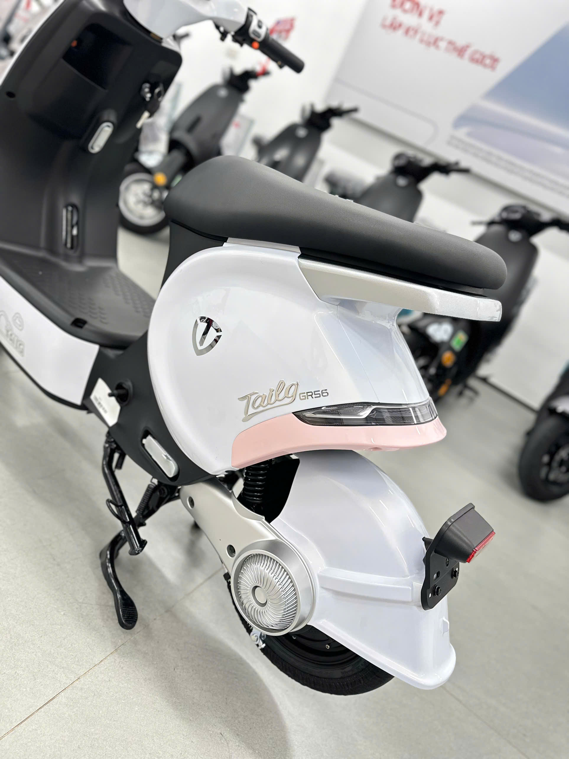 Xe Đạp Điện Tailg GR56 Đầy Đủ Giấy Tờ