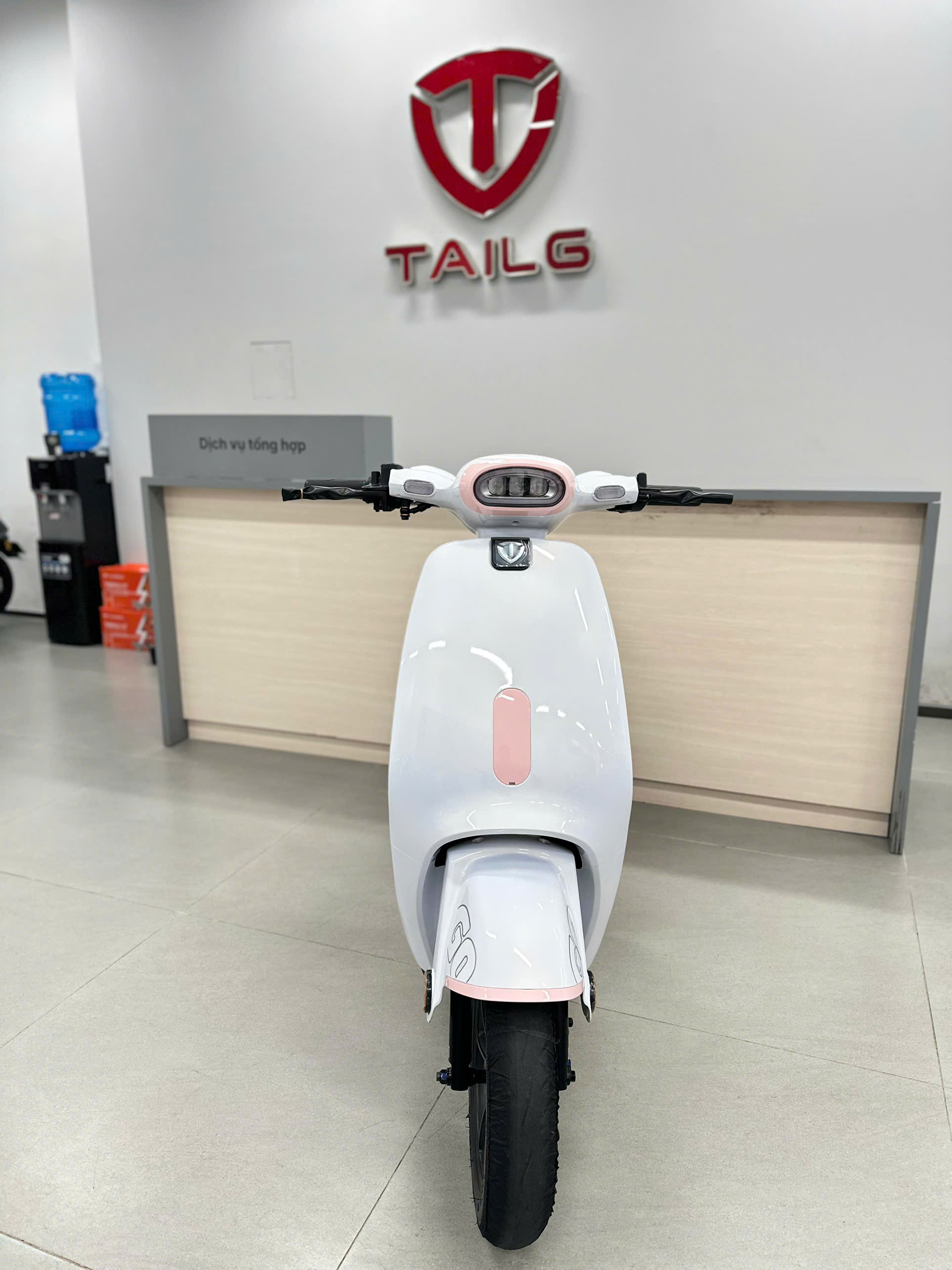 Xe Đạp Điện Tailg GR56 Đầy Đủ Giấy Tờ