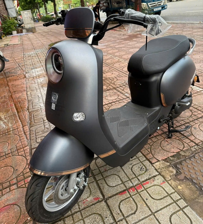 Xe Đạp Điện Dibao Rosa Thế Hệ Mới