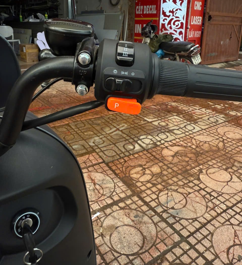 Xe Đạp Điện Dibao Rosa Thế Hệ Mới