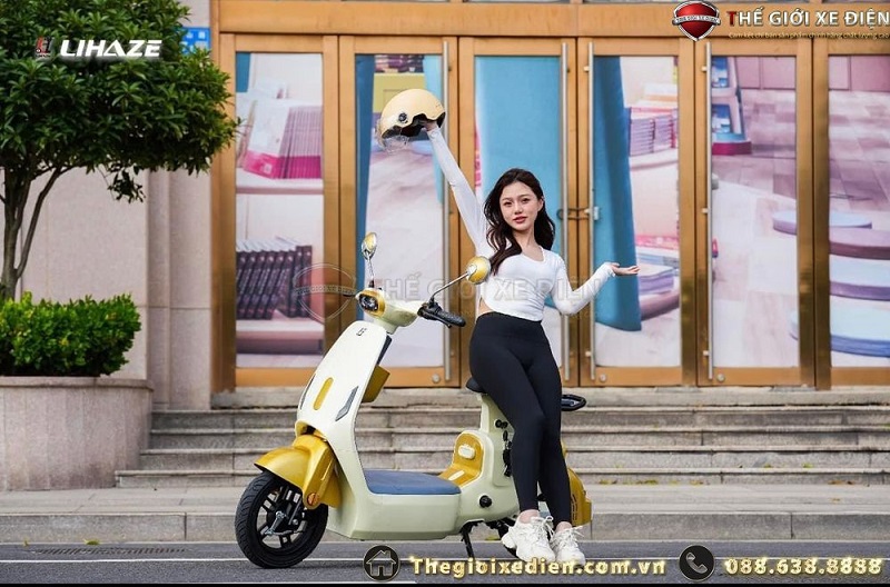 Xe Đạp Điện Dylexe VC K2