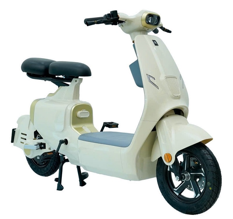 Xe Đạp Điện VC Ally Elyas S1