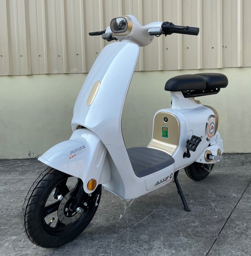 Xe đạp điện VC Elyas Ally đời mới