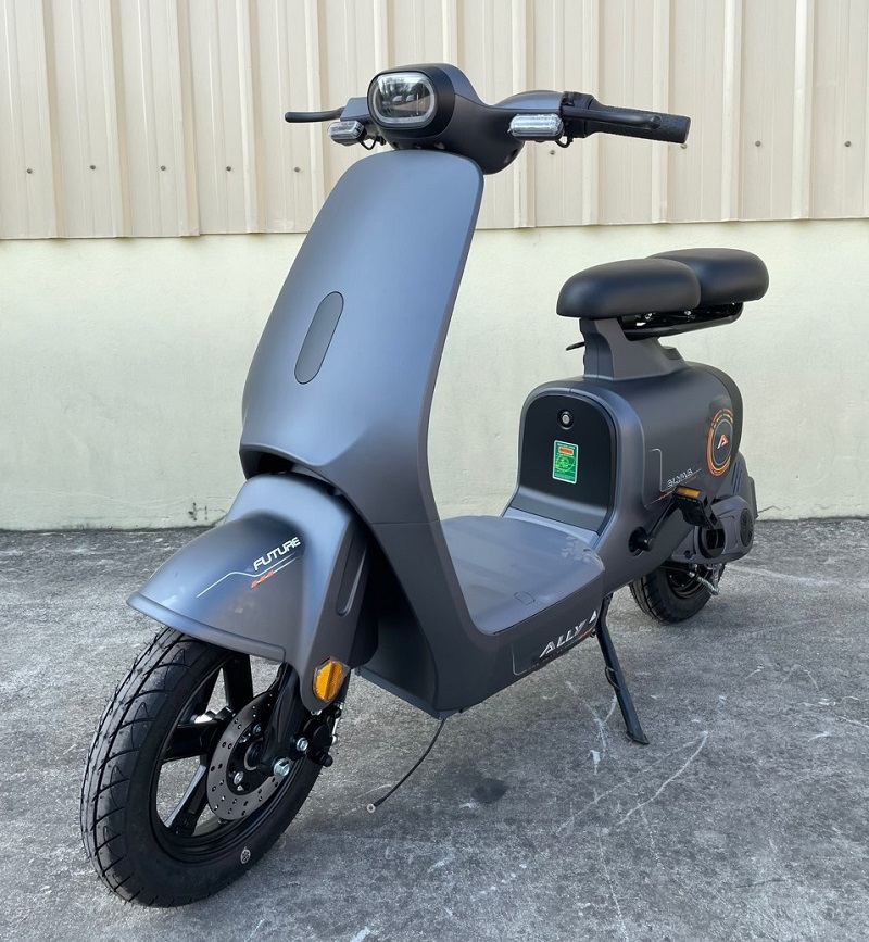 Xe đạp điện VC Elyas Ally đời mới