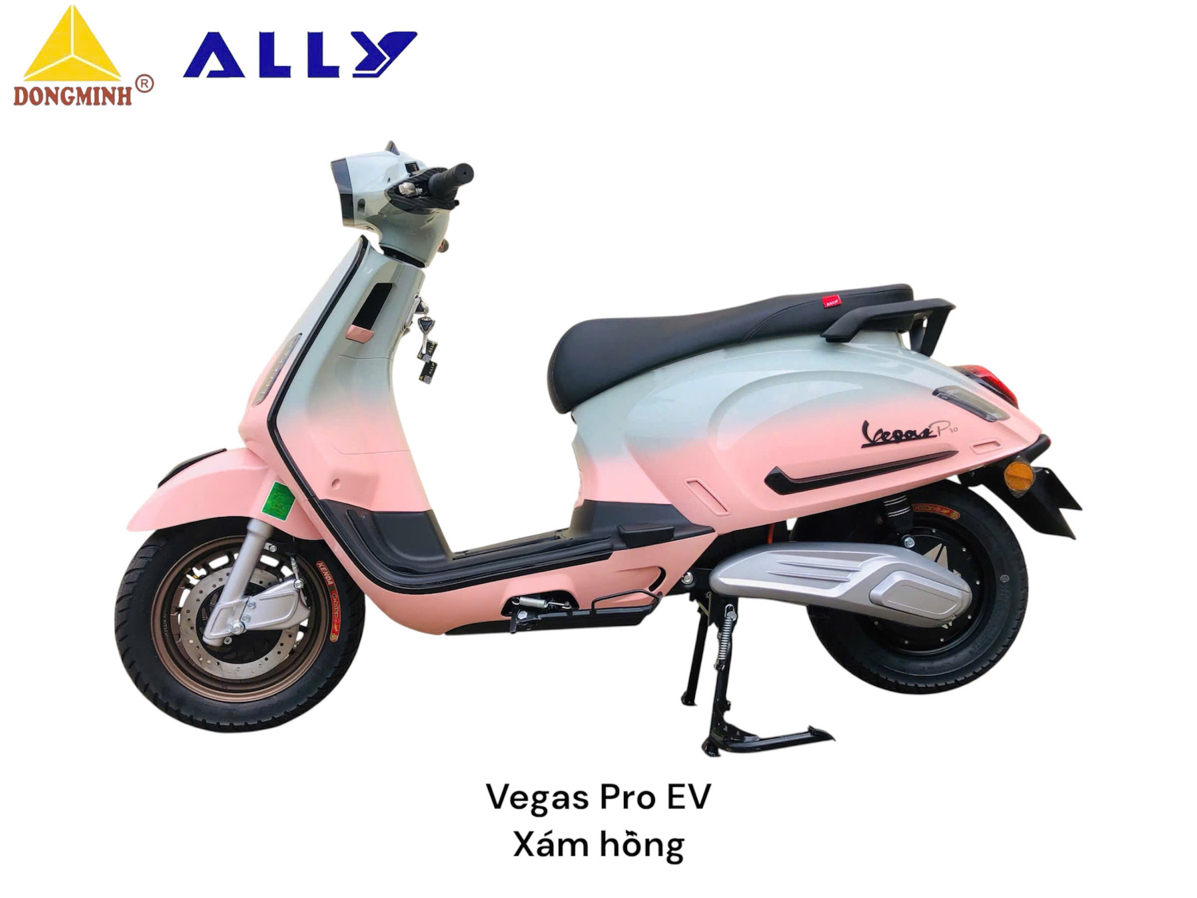 Xe Máy Điện Ally Vegas Pro EV
