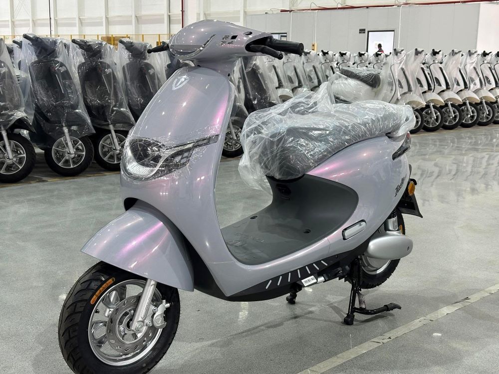 Quy định bằng lái xe điện: Khi nào cần và loại nào phù hợp? Quy định bằng lái xe điện: Khi nào cần và loại nào phù hợp?