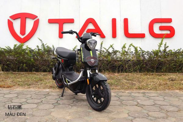Xe Đạp Điện Tailg GX30 Xbull Chính Hãng