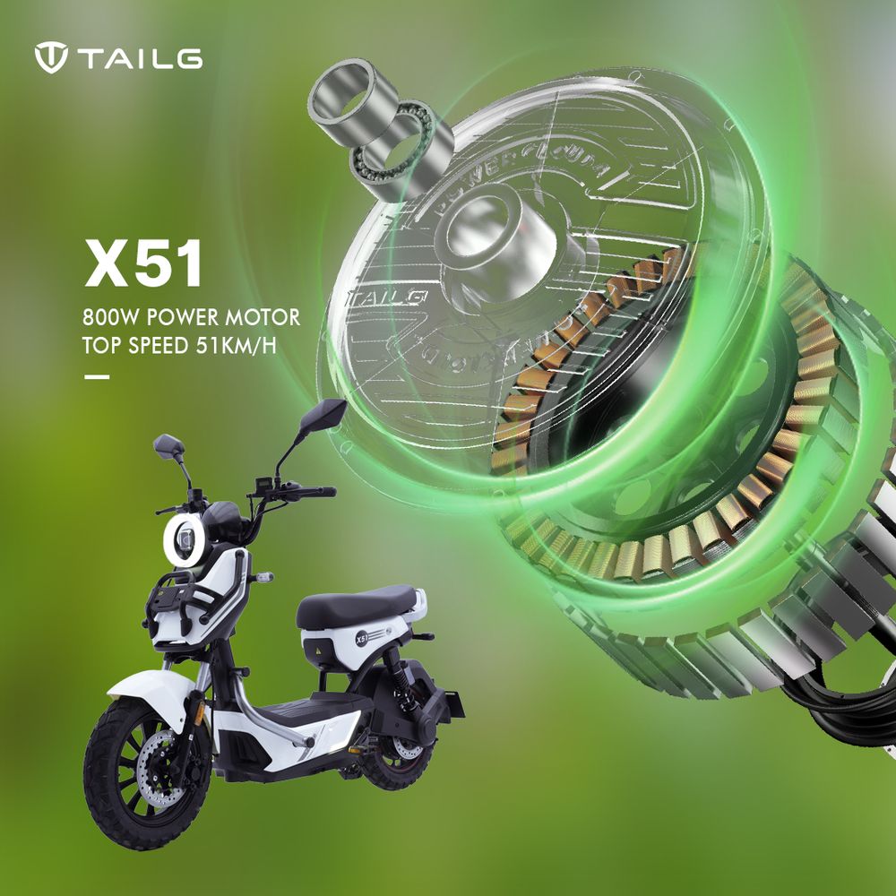 Động cơ và hiệu suất xe Tailg X51