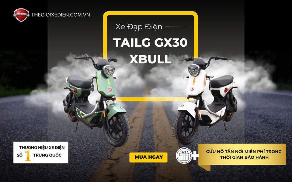 Giới thiệu tổng quan về xe Tailg GX30 Xbull
