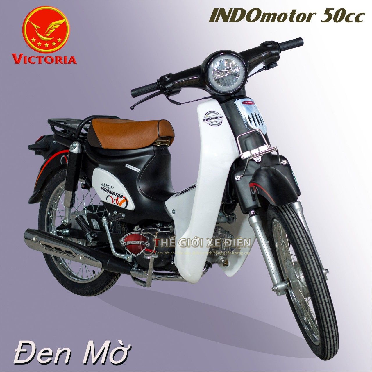 Lớp sơn sáng bóng