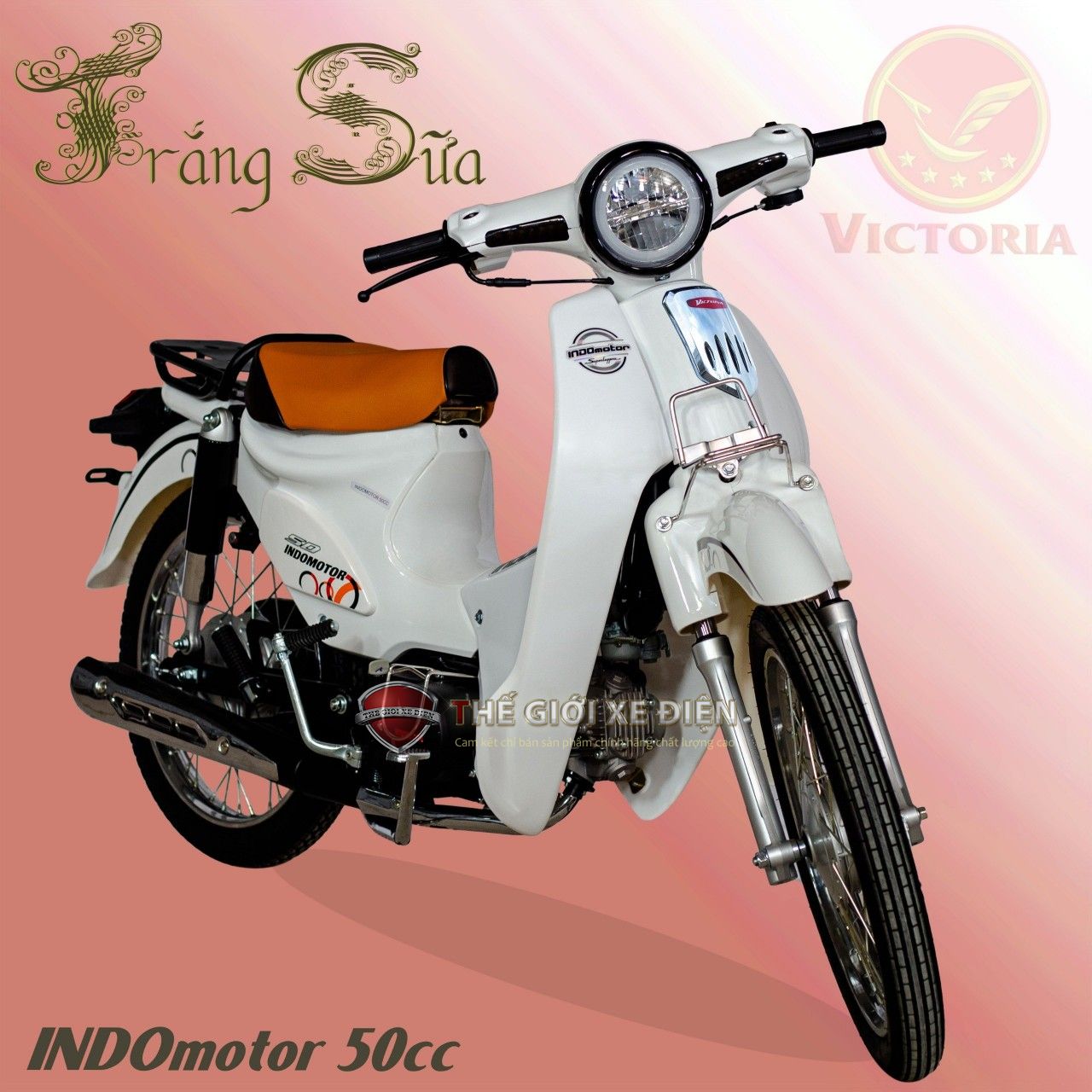 Tiện lợi và dễ sử dụng