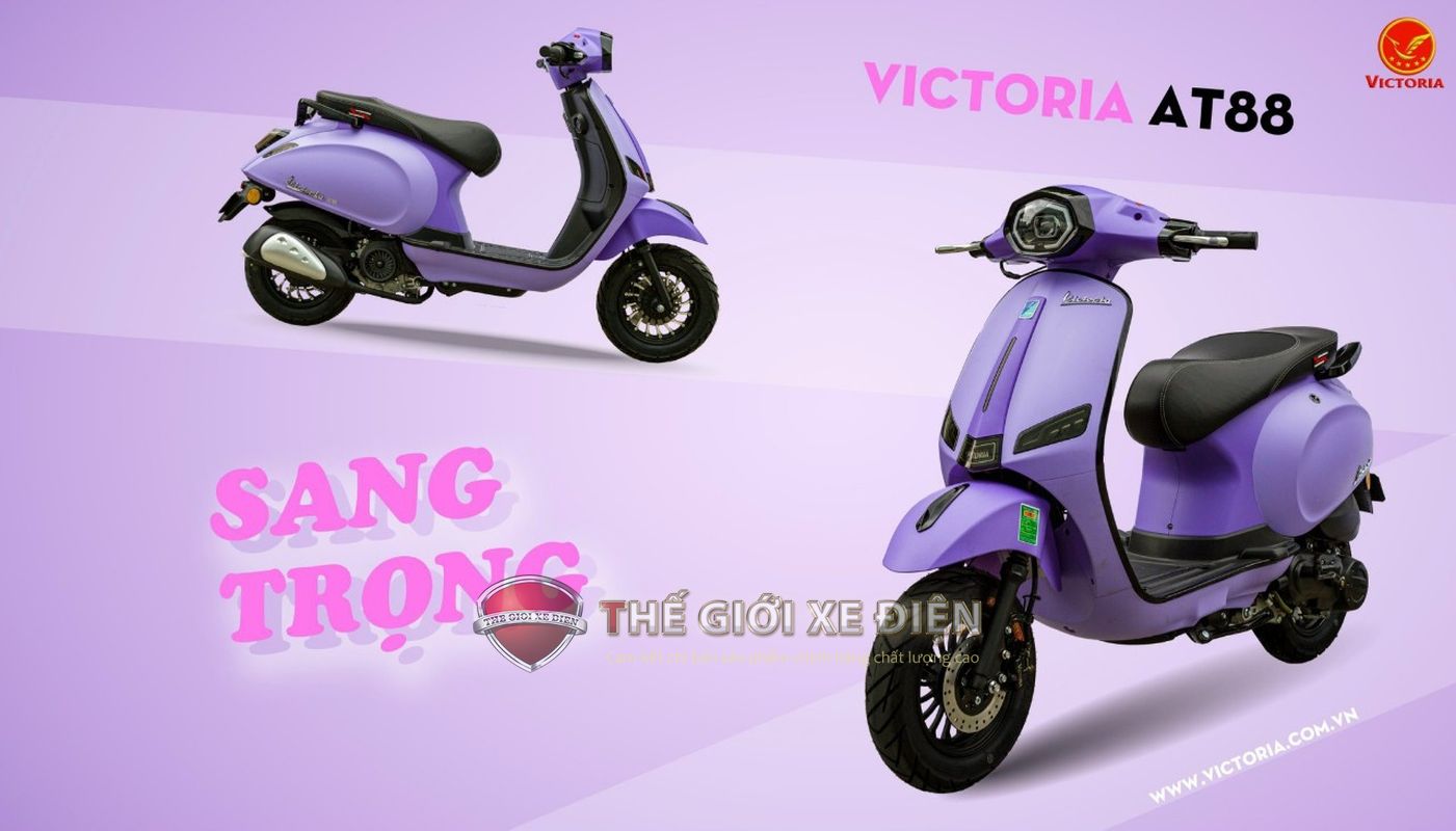 Kích thước tổng thể