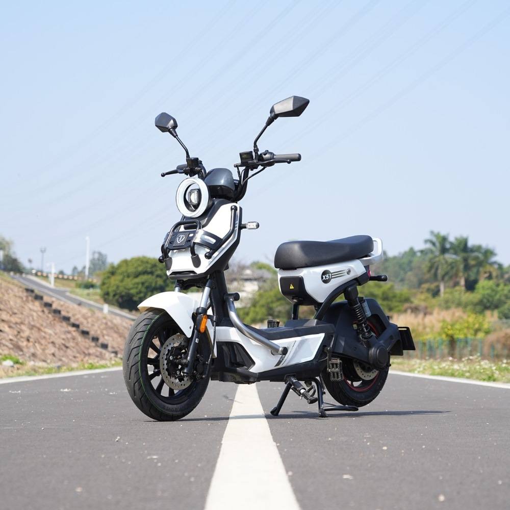 Xe Đạp Điện Tailg Discovery X51 (Đầy Đủ Giấy Tờ)