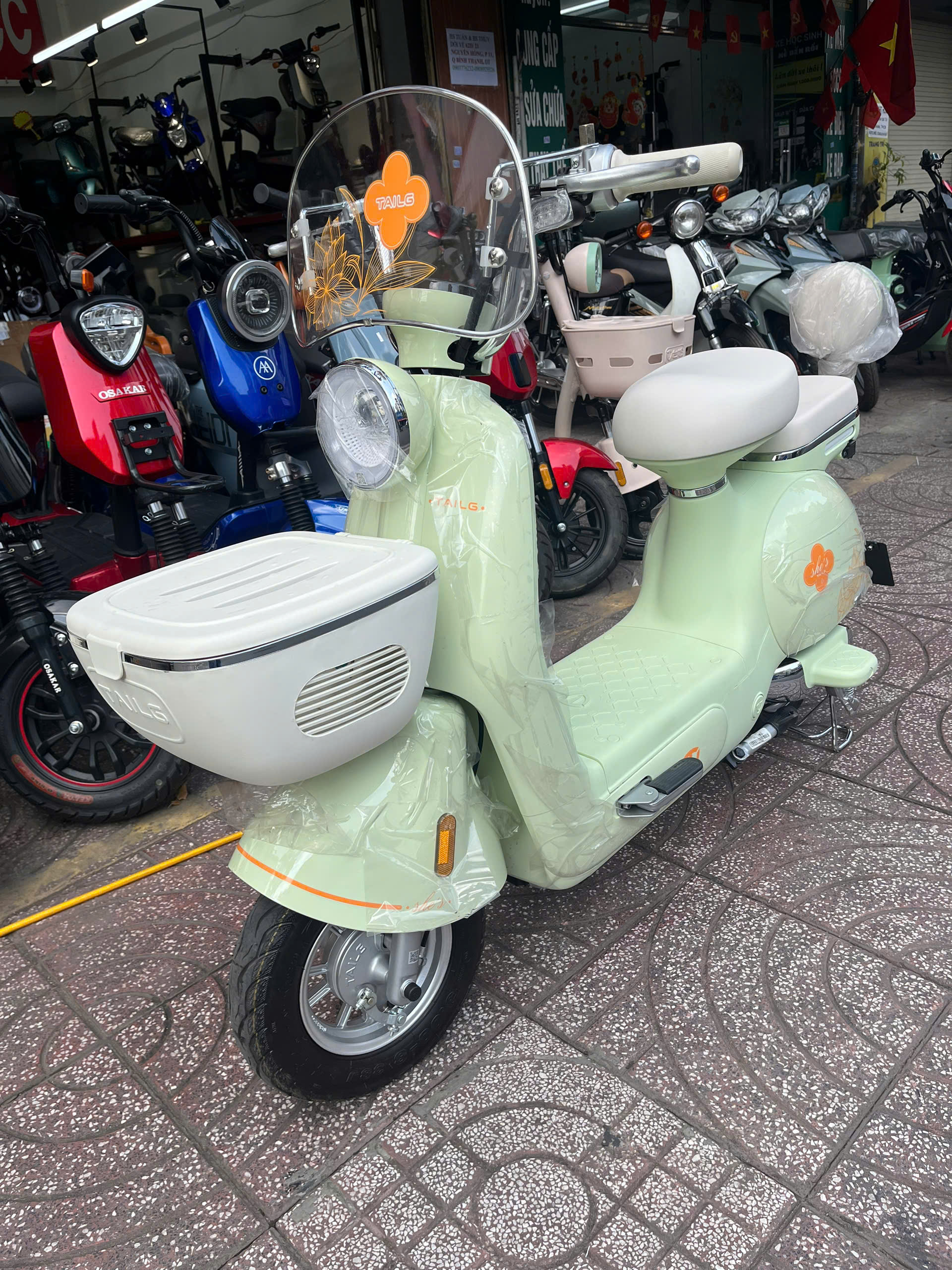 Xe Đạp Điện Tailg Princess JS50 