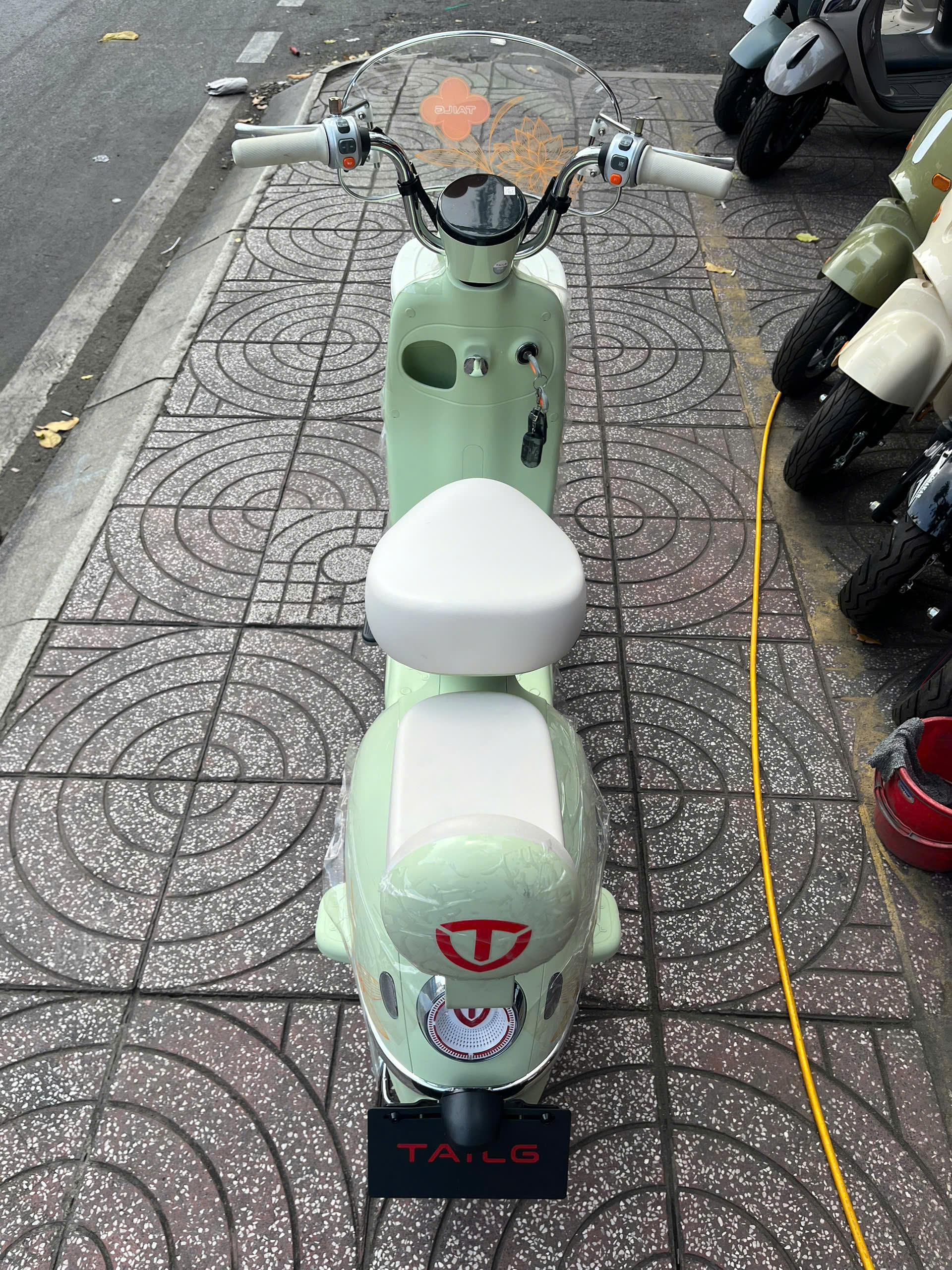 Xe Đạp Điện Tailg Princess JS50 