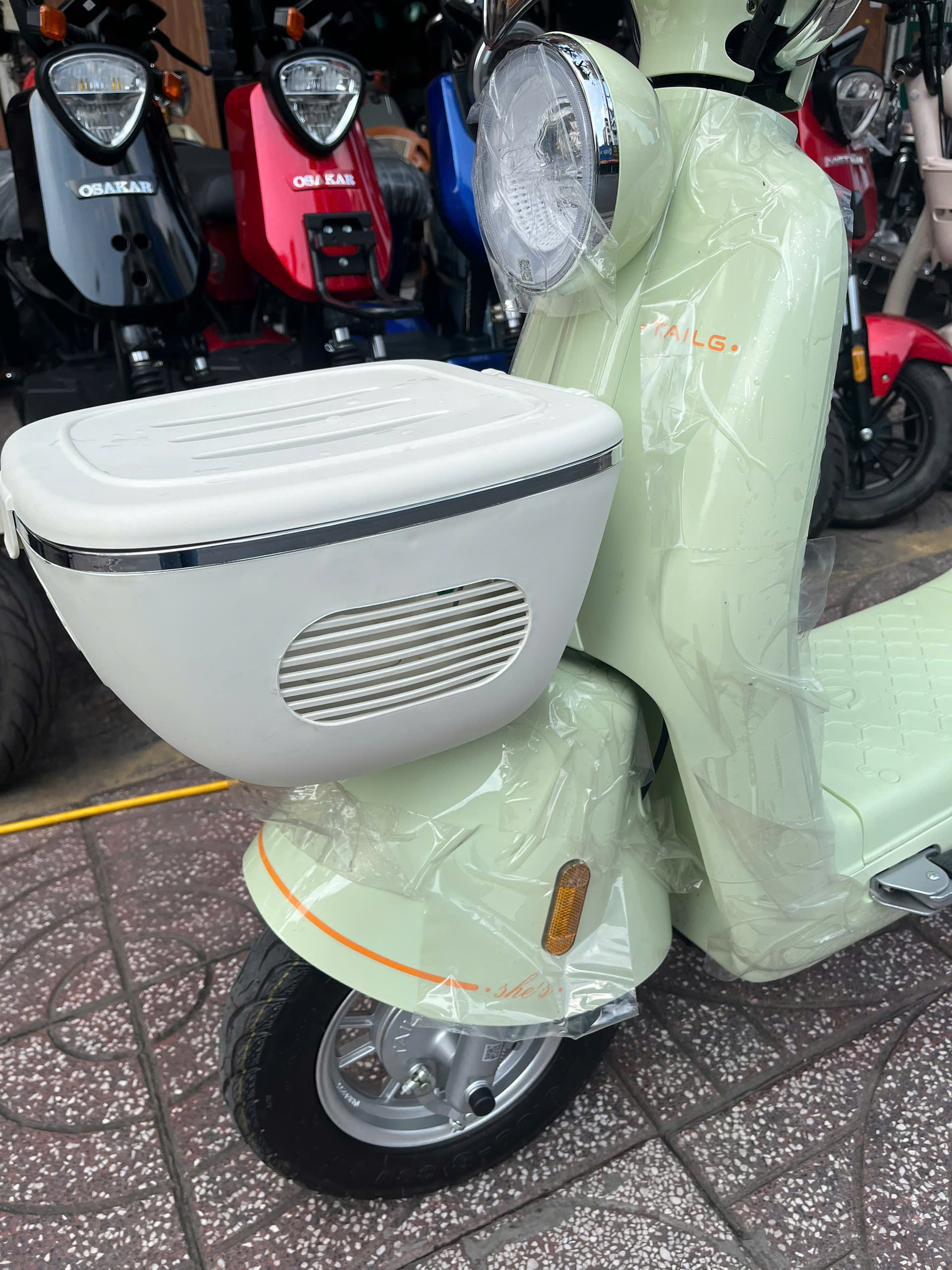 Xe Đạp Điện Tailg Princess JS50 