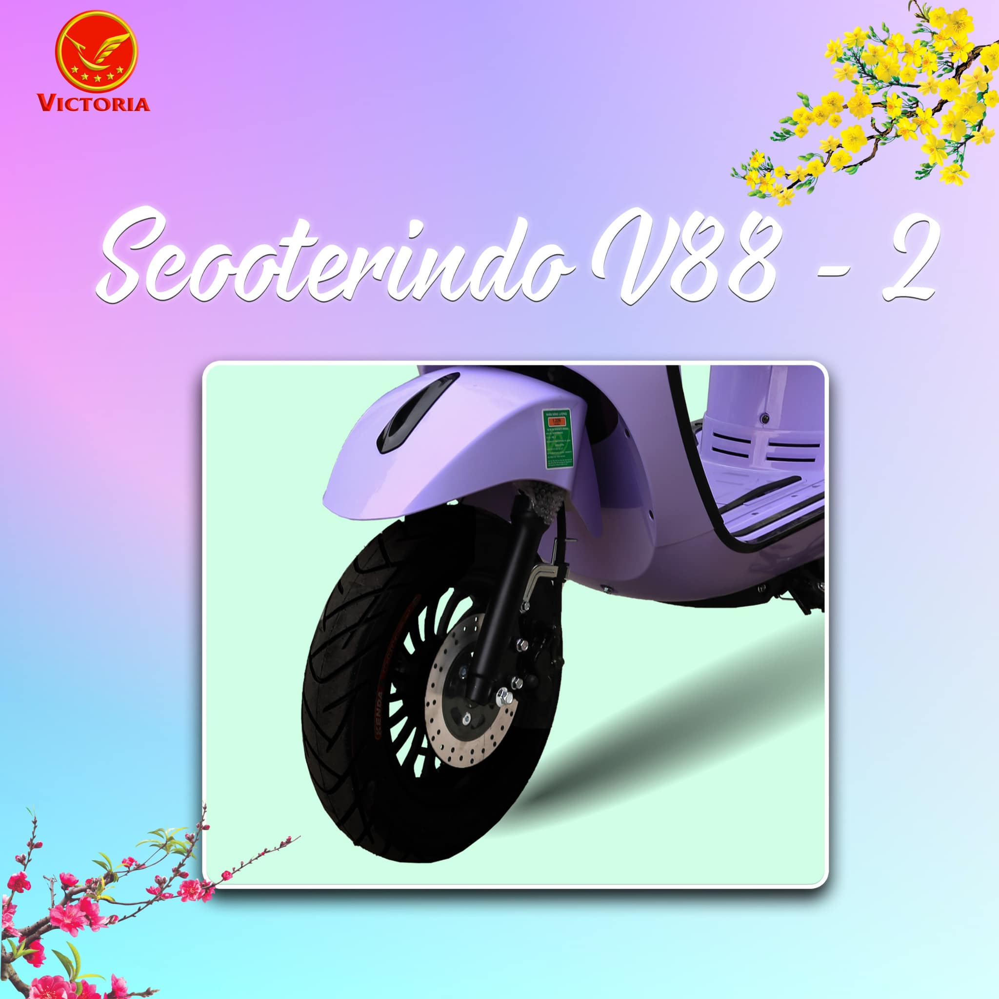 xe ga 50cc victoria scooterindo