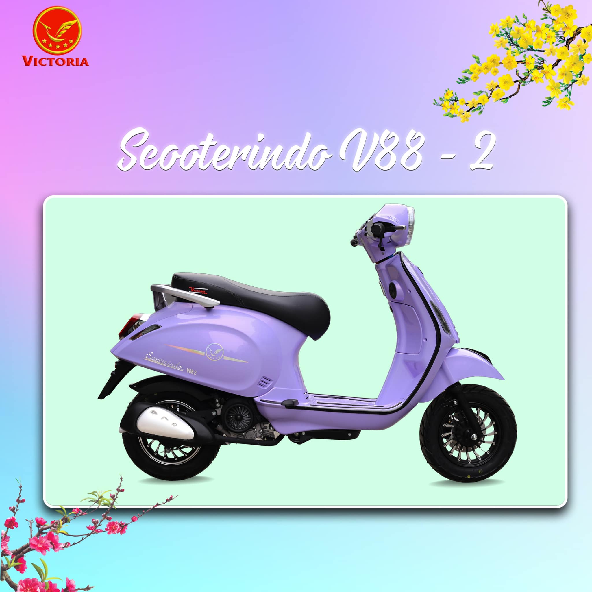 xe ga 50cc victoria scooterindo