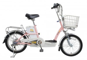 Chú ý : Tại Việt Nam không nên chọn loại xe đạp điện sử dụng Pin Litium.