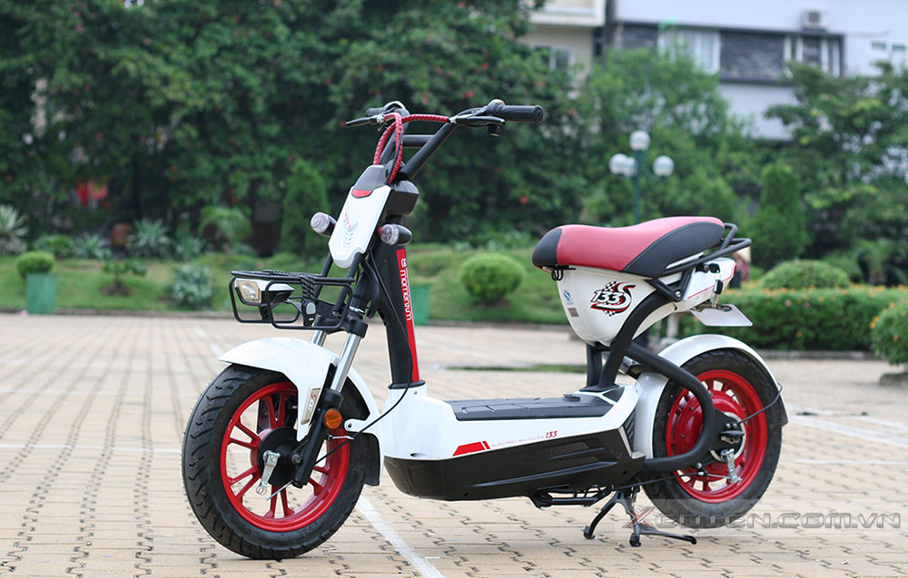Xe đạp điện Giant M- 133S Plus nhập khẩu