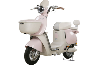 Xe Đạp Điện Tailg GR54 Đầy Đủ Giấy Tờ
